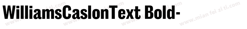 WilliamsCaslonText Bold字体转换
